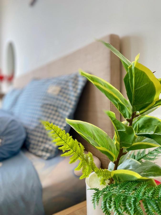 The Song Apartment Vung Tau - Boo Boo Homestay 外观 照片